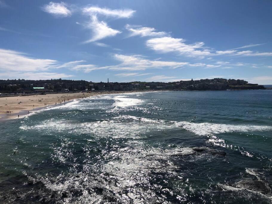 Apartment The Pad Bondi Sydney