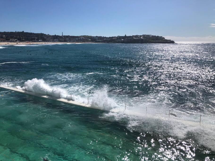 The Pad Bondi Sydney